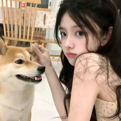 不能犯